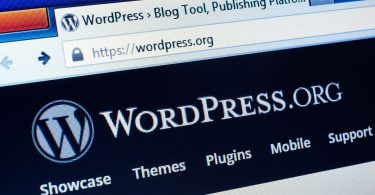 Stop Everything and Update Your WordPress Site Right Away