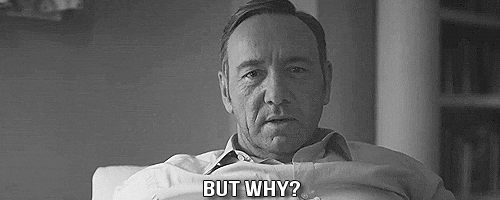 Why GIF - Find & Share on GIPHY